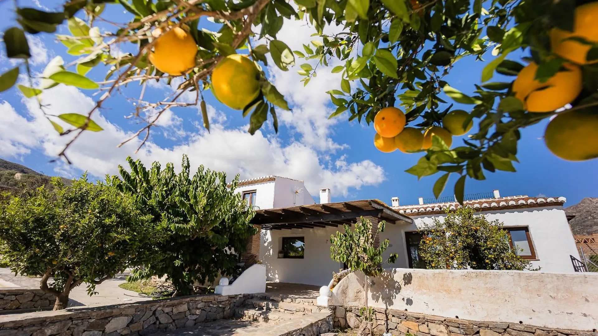 Villa Rentitspain Complejo Rural Los Fandangos Lujo Y Confort Almunecar