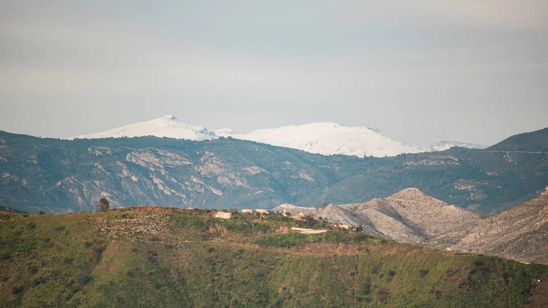 Rentitspain Complejo Rural Los Fandangos Lujo Y Confort Almunecar